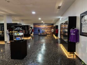 découvrez le musée cr7 à madère, un espace dédié à la légende du football cristiano ronaldo. explorez des expositions fascinantes, des trophées et des souvenirs qui retracent la carrière exceptionnelle de l'un des meilleurs joueurs de football de tous les temps.